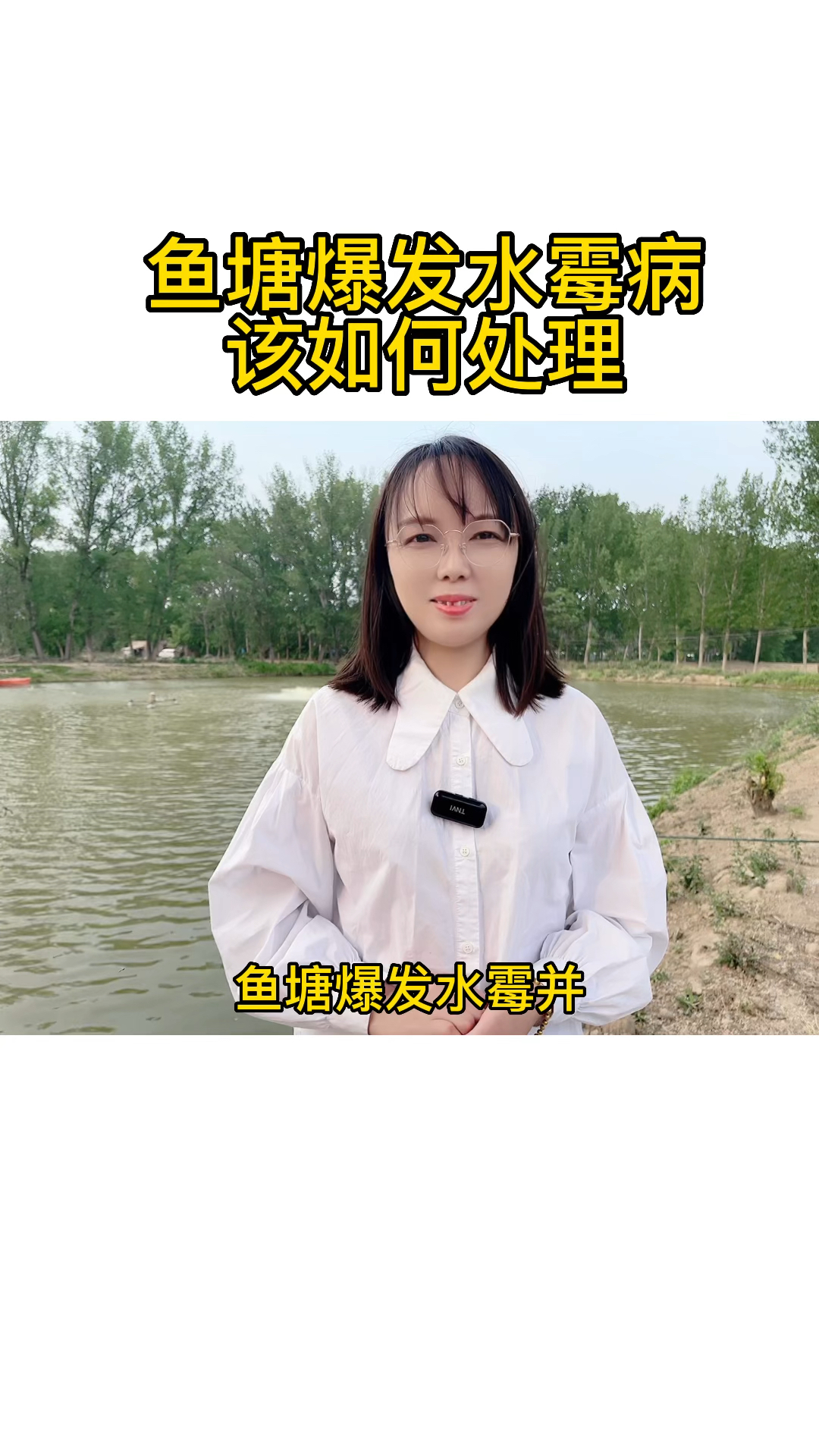 鱼塘得了水霉病,该如何处理