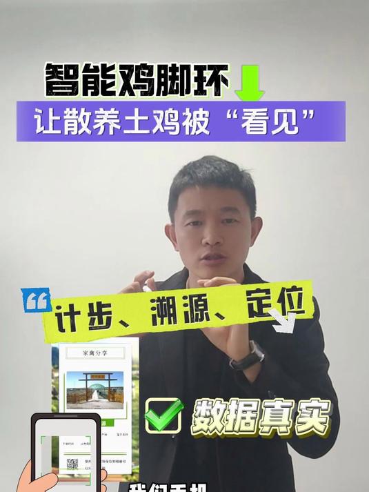 戴上智能鸡脚环让散养土鸡被“看见”