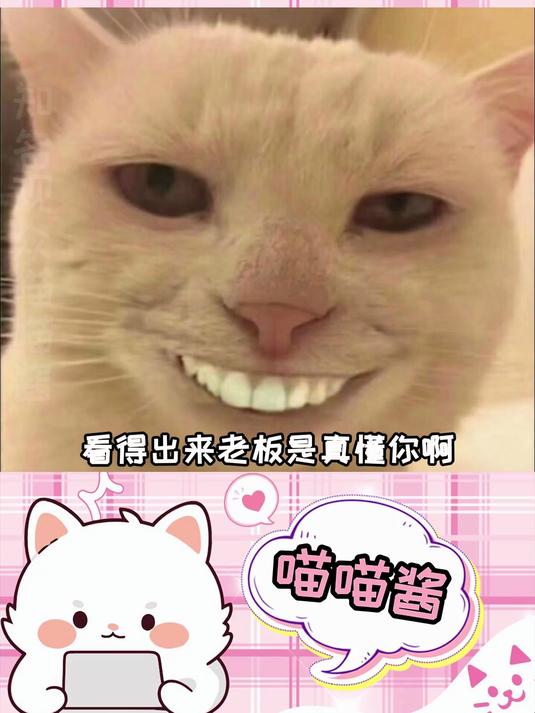 老板:你这……趁热吃吧……糍粑