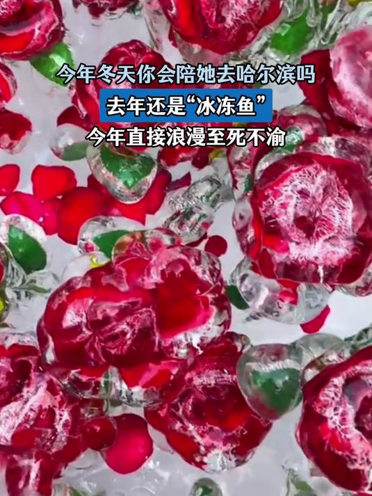 你会陪她去哈尔滨吗,去年还是“冰冻鱼”,今年浪漫至死不渝
