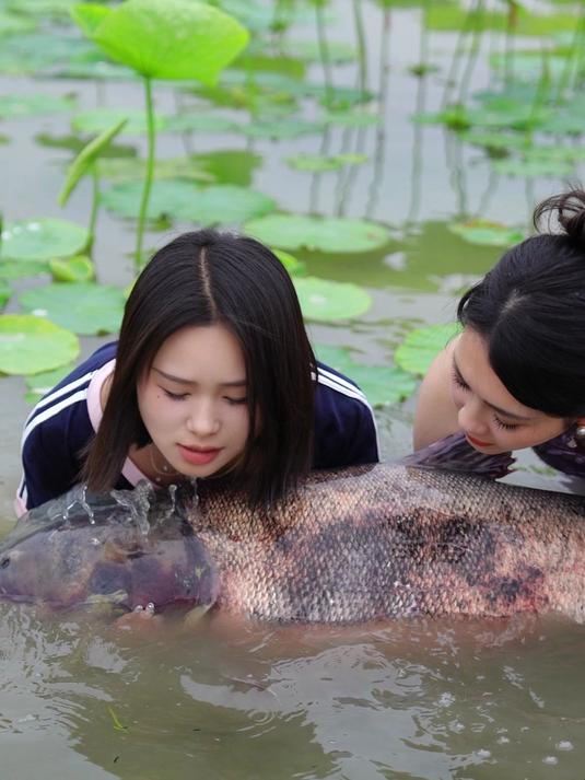 六十斤的大鱼做三个口味,你们喜欢吃鱼头还是鱼尾!