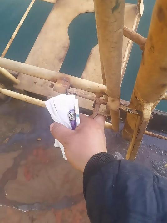 远洋钻井台上的美食诱惑,鱼儿们争相抢食,小房间成秘密投喂热点