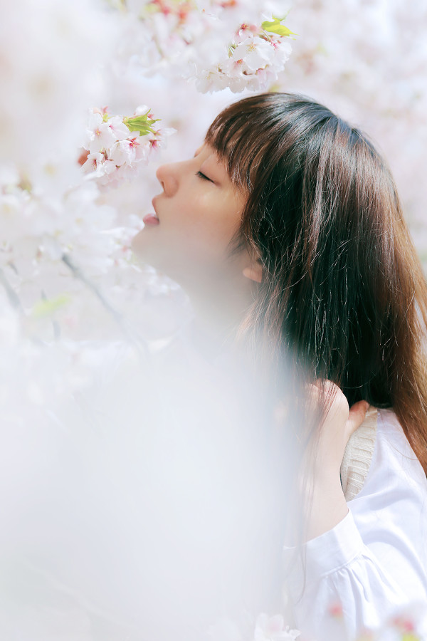 图片[2]-樱花漫-六色网