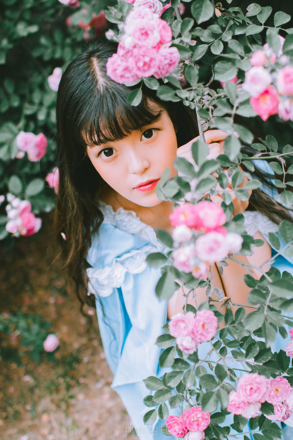 少女和蔷薇-六色网