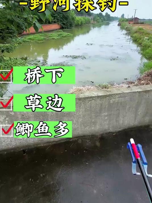 这条河里面的鱼太多了