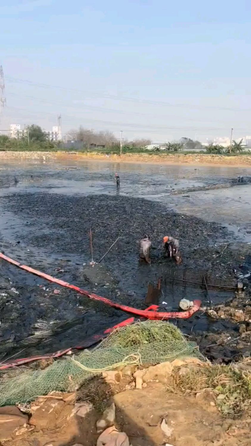 这种鱼叫江团鱼,喜欢生长在污水养殖,但肉非常好吃