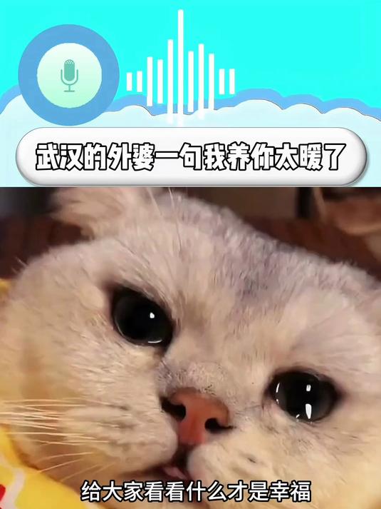 给大家看看什么是幸福,湖北武汉外婆的一句话瞬间让人湿了眼眶