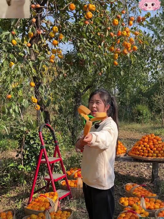 脆甜多汁的巧克力脆柿子终于可以吃到了。#应季水果推荐