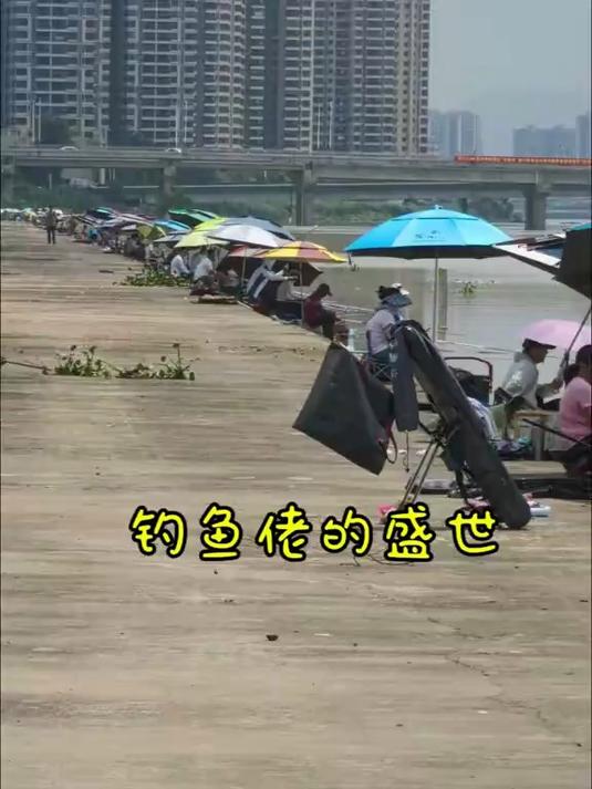 广东的钓鱼佬你服不服