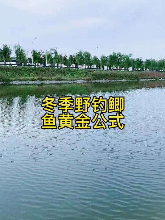 钓鱼人冬季野钓大板鲫鱼的钓鱼技巧