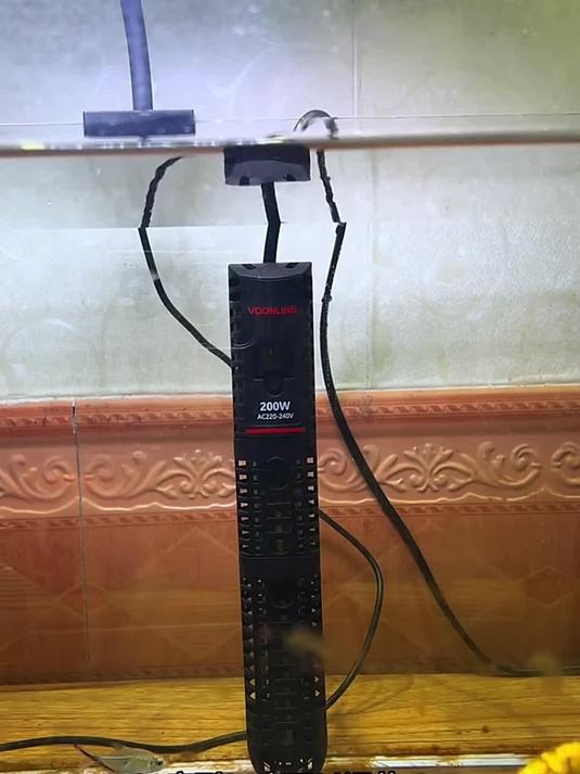 选鱼缸加热棒,安全节能是关键,离水断电颜值高寿命长