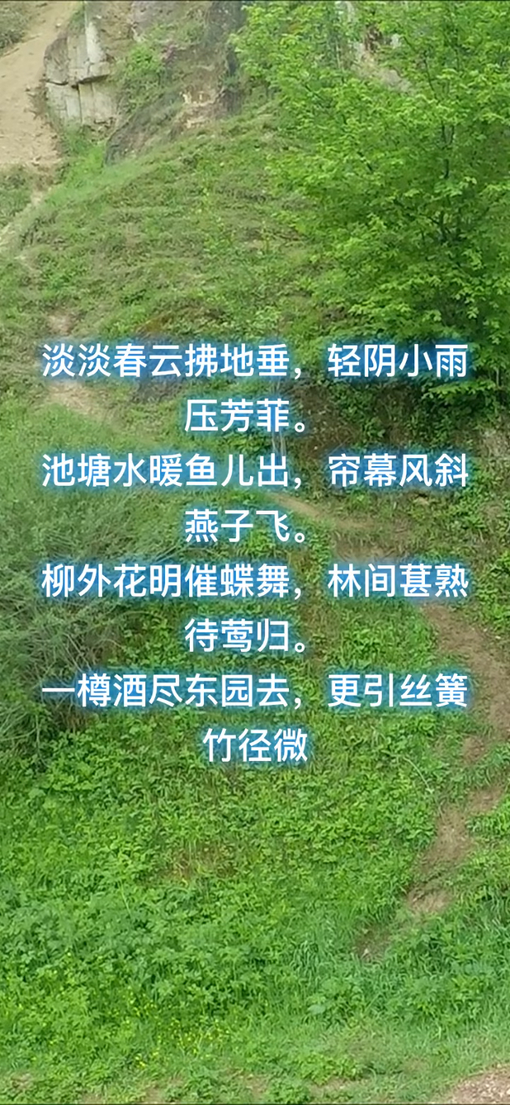赞美春天之诗句
