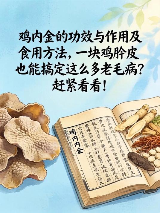 鸡内金的功效与作用及食用方法,一块鸡胗皮竟能搞定这么多老毛病?赶紧看看!