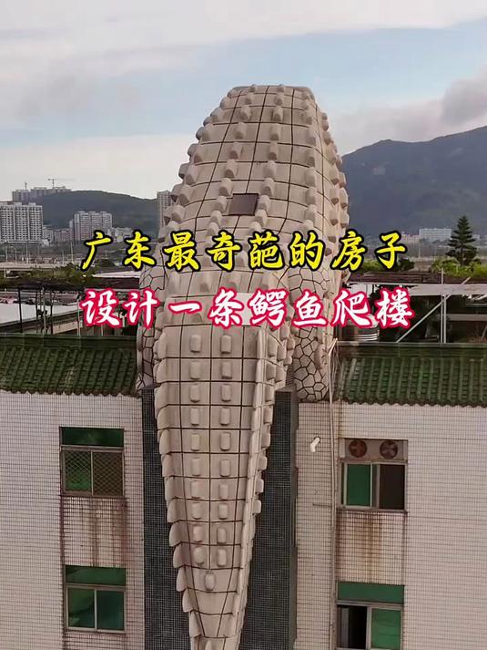 在广东发现一栋造型非常独特的房子,房顶上设计鳄鱼爬楼