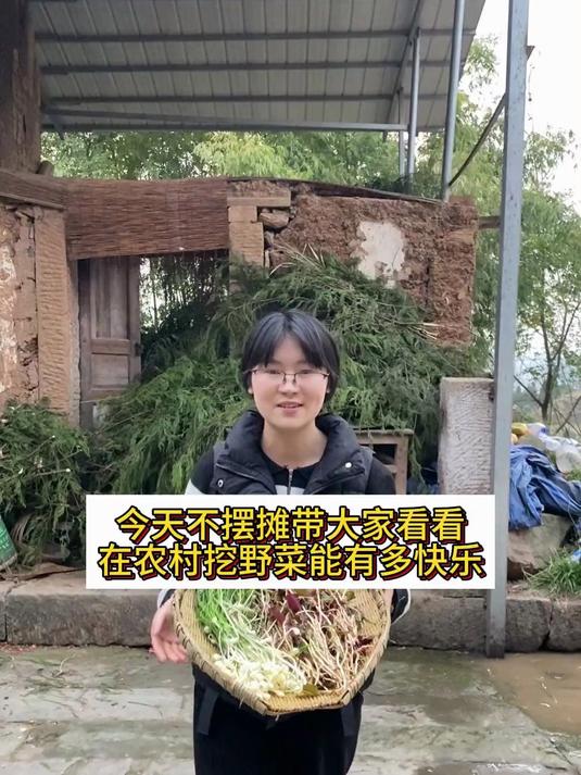 今天不摆摊，看看挖野菜能有多快乐