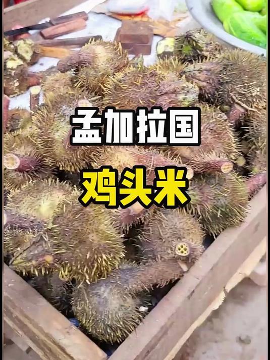 这种果实名叫芡实,也叫鸡头米,是一种睡莲科芡属的水生草本植物