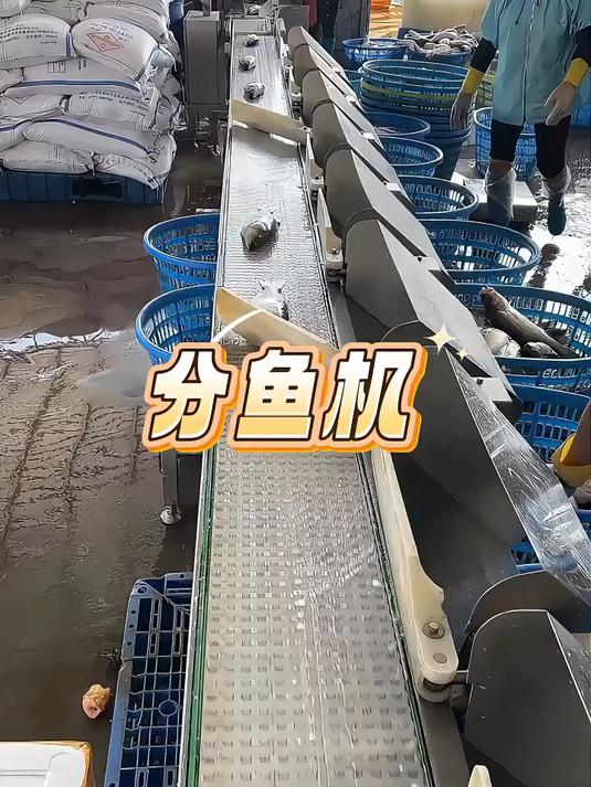 自动分鱼机的工作原理