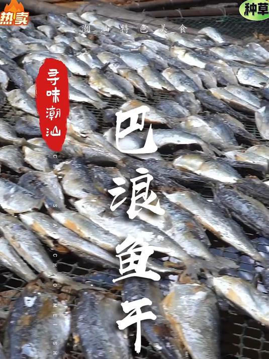 淡晒巴浪鱼干，鲜香味浓，肉质紧实不腥