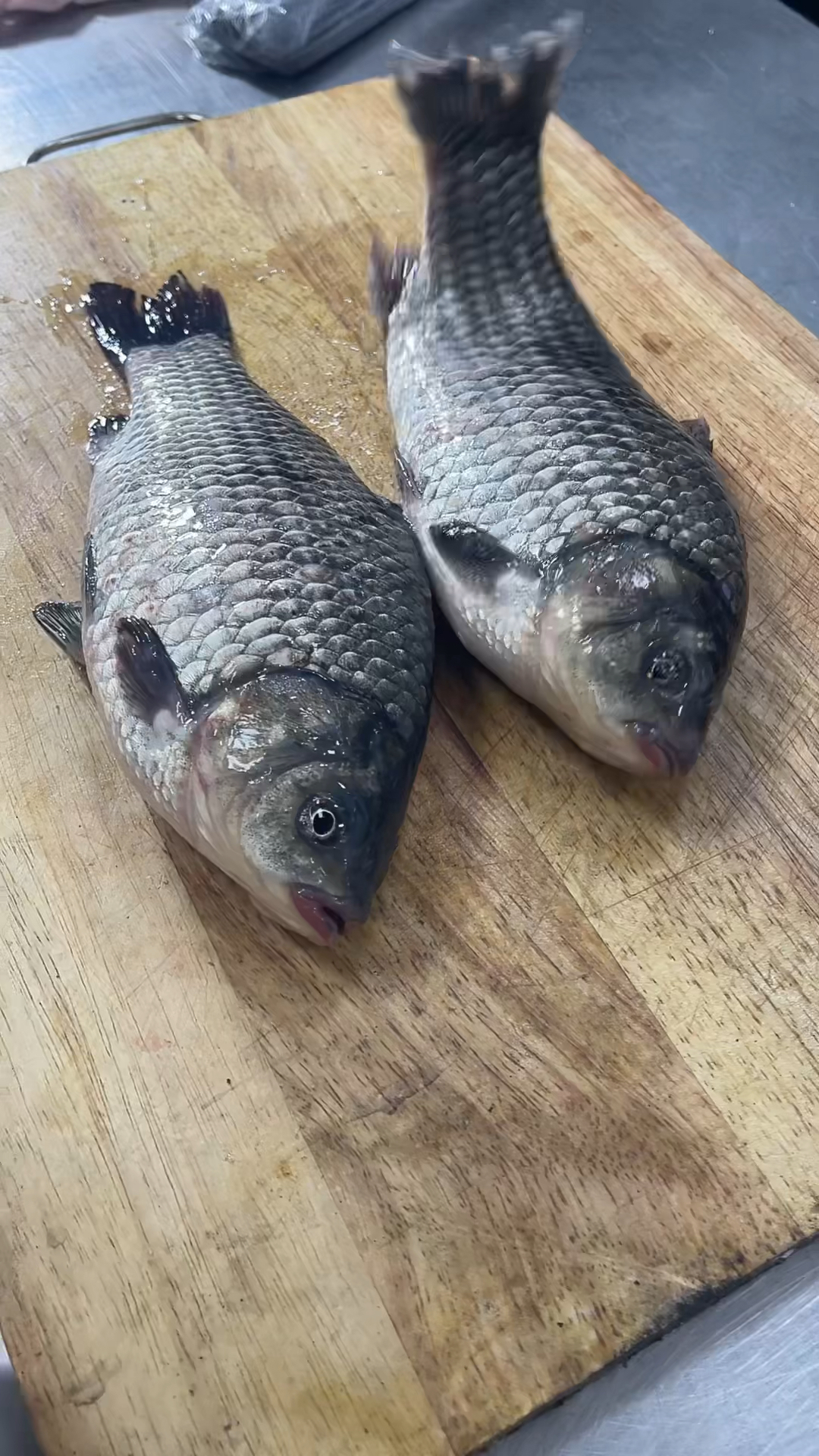 烧烤店里的锡纸鲫鱼