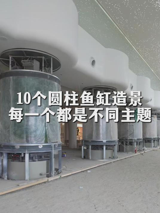 10个圆柱鱼缸，10个不同主题的造景过程