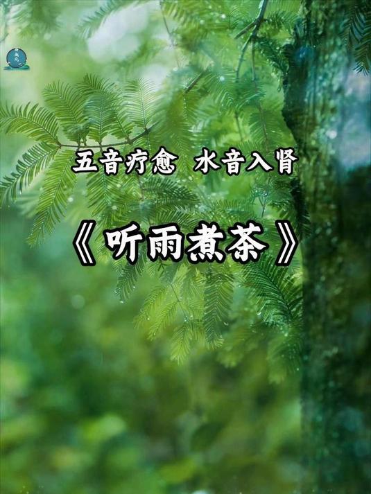 五音疗愈《听雨煮茶》淡然于心,从容于表,自在于世间。