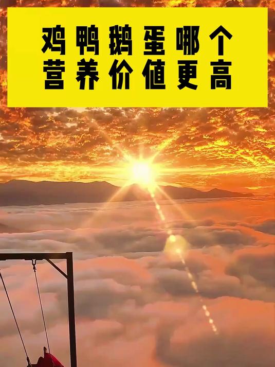 鸡蛋鸭蛋鹅蛋,哪个营养价值更高