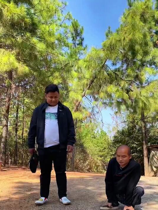 豪华鸡舍搭建好了,鸡苗也买回来了