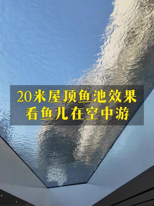 在屋顶养鱼是怎样的体验?蓝湖浙江20米长空中鱼池