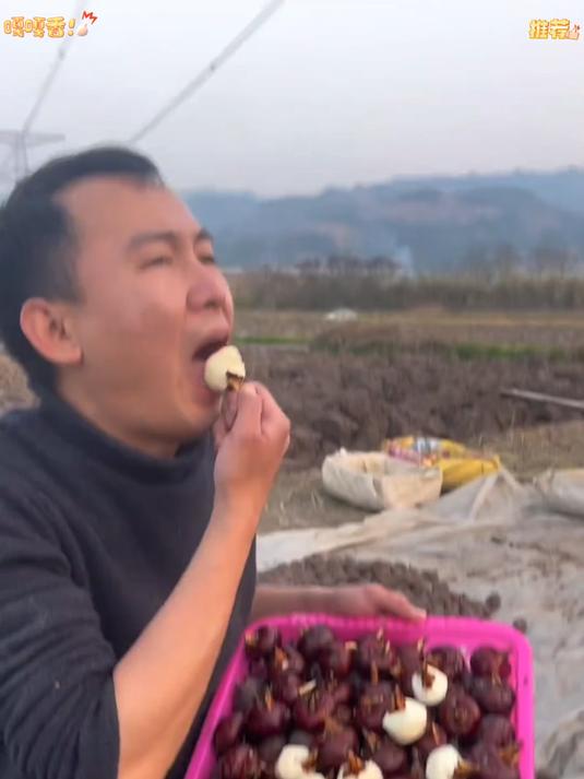 广西桂林荔浦马蹄长在地里的水果真正的土特产。脆甜化渣非常好吃