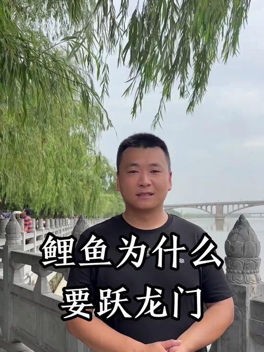 鲤鱼为什么要跃龙门，你知道吗？