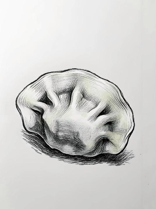 创意大比拼:我和同学画笔下的饺子