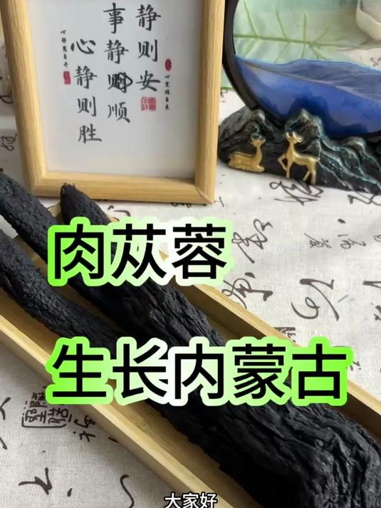 肉苁蓉,注意生长在内蒙古沙漠里面