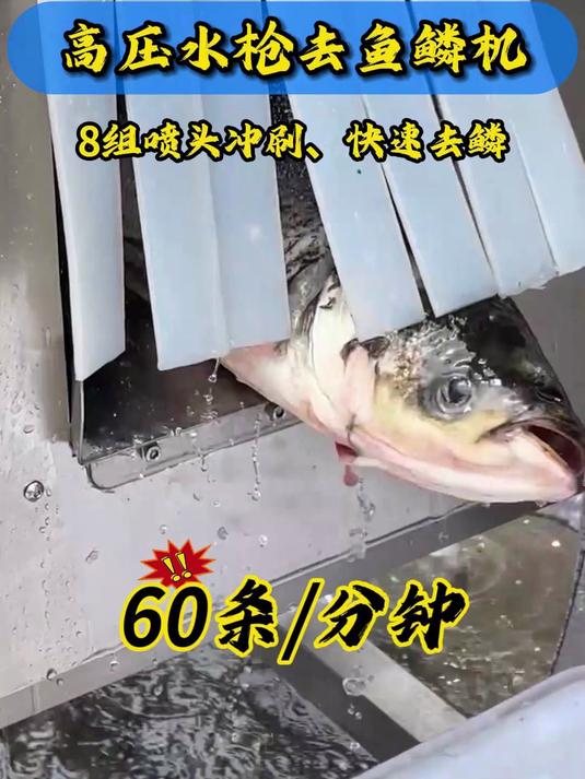 高压去鱼鳞机,输送带自动传送,自带八个高压水枪喷头精准瞄准