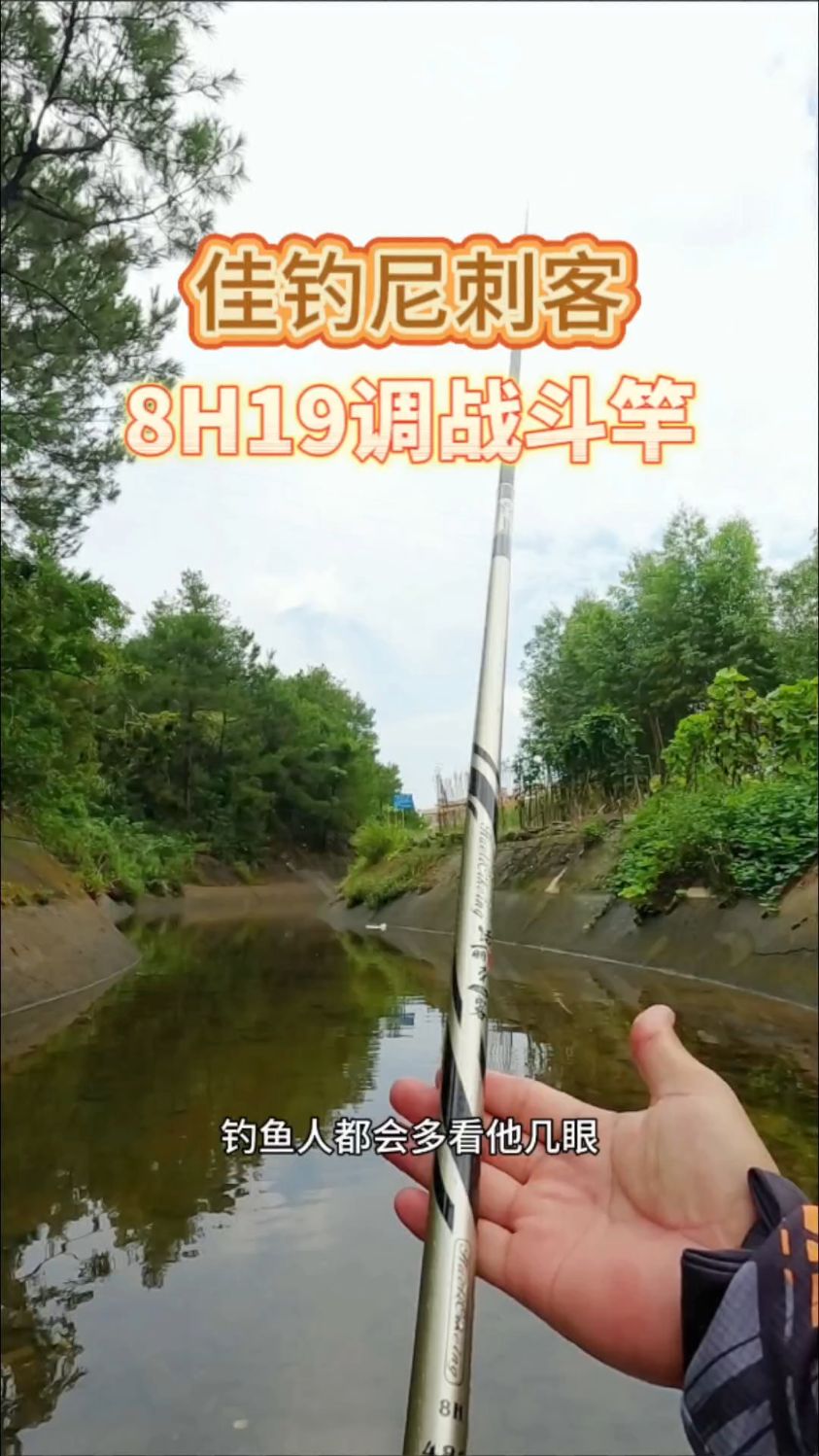 佳钓尼刺客8H19调钓鱼竿