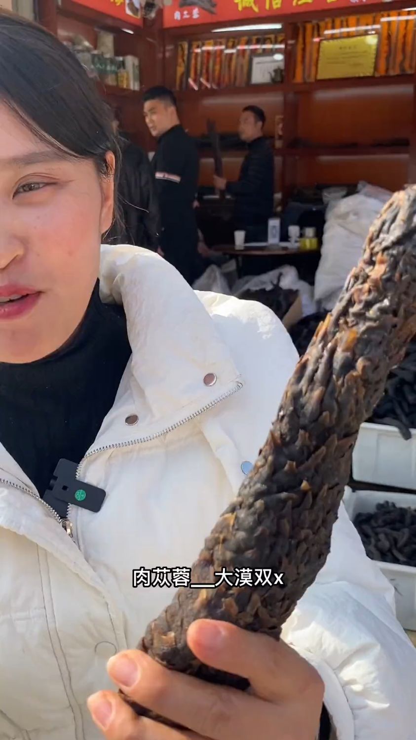 今天带大家认识一下大漠双雄之一的肉苁蓉