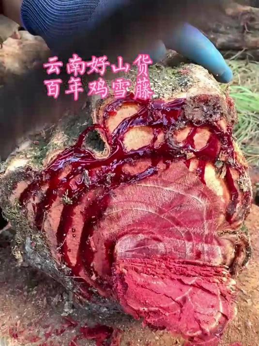 挖深山鸡血藤晒片～广西长寿产，无硫泡茶香乎乎