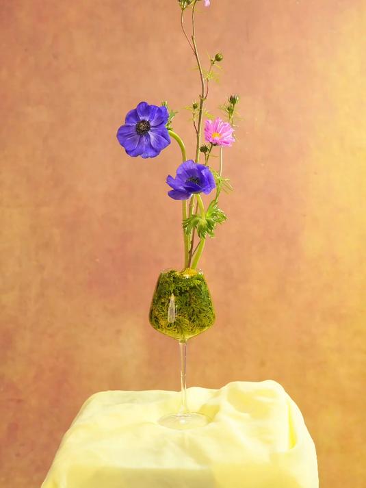 有手就会的小美好,今晚您试试?#插花##宋代美学##器物之美##南京##生活美学#