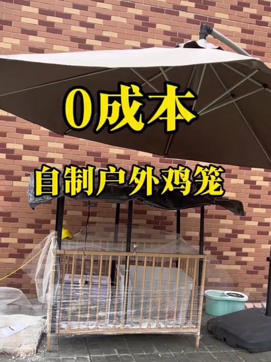 0成本自制户外鸡笼，自制鸡舍