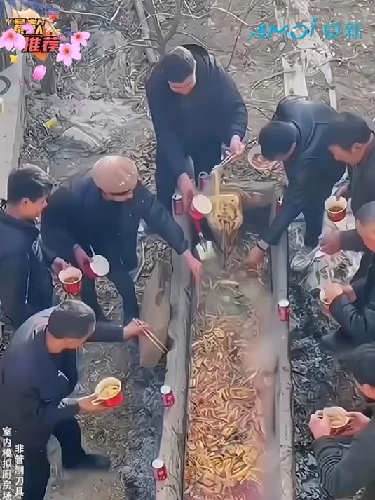 #撞响2026新春时刻#年末清仓!家用真空封口机全自动保鲜告别食材浪费!#真空封口机##杨