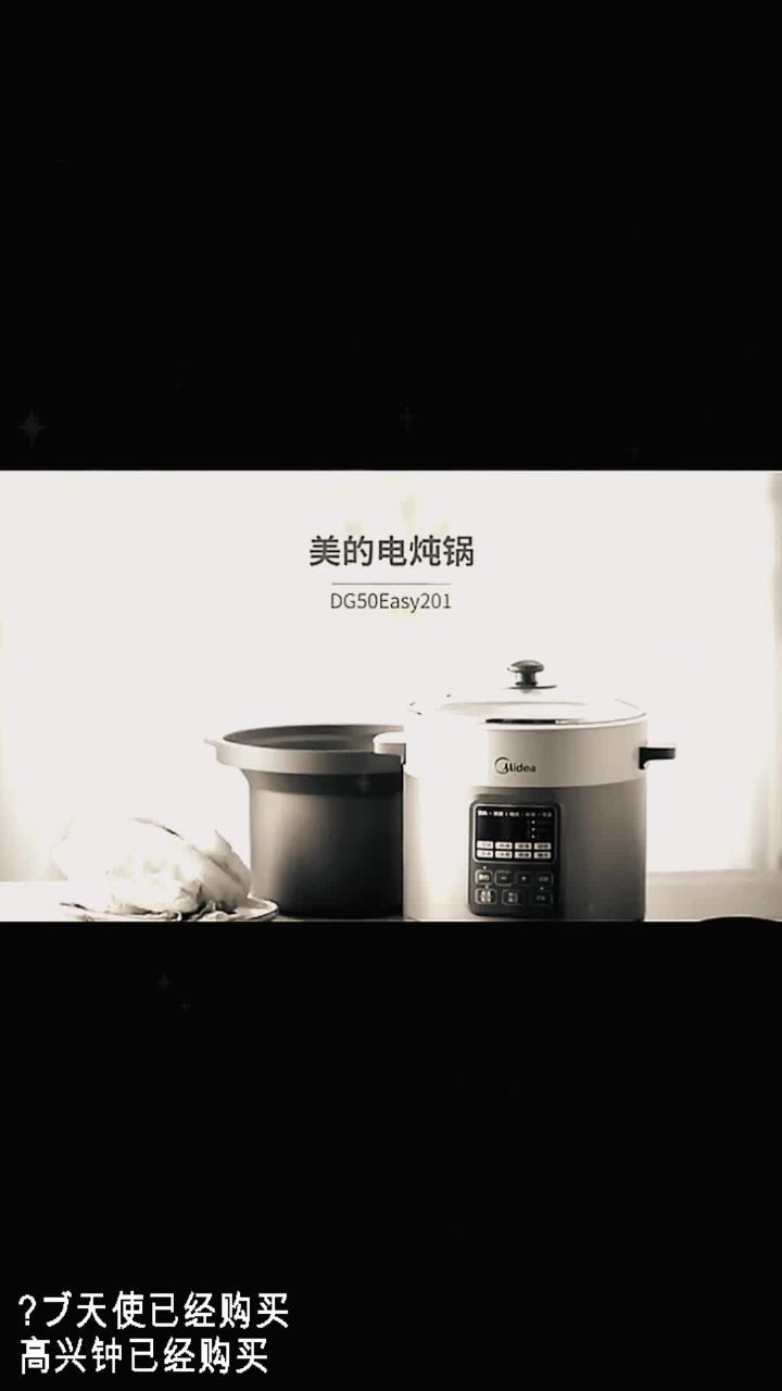 美的电炖锅电炖盅煲汤锅炖汤锅