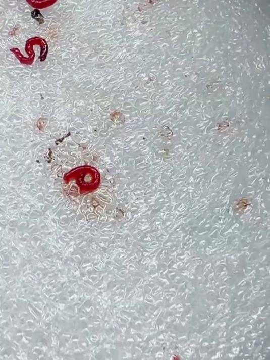 自从有了这支笔,挂虫子鱼饵也方便了