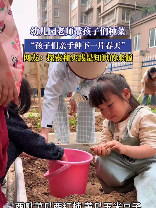 幼儿园老师带孩子们种菜,“孩子们亲手种下一片春天”