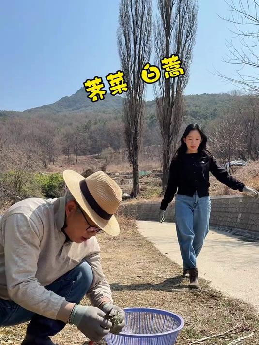 大家都试试吧 荠菜油炸以后真的yyds