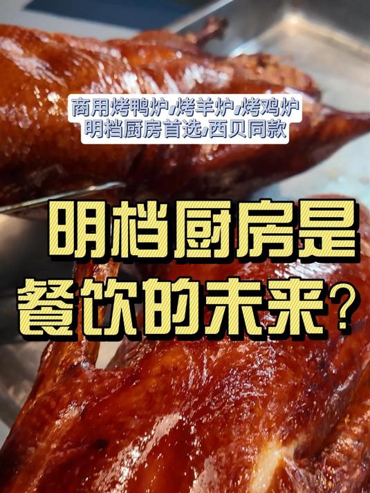 创绿烤鸭炉,360°立体热风循环,标准化出品