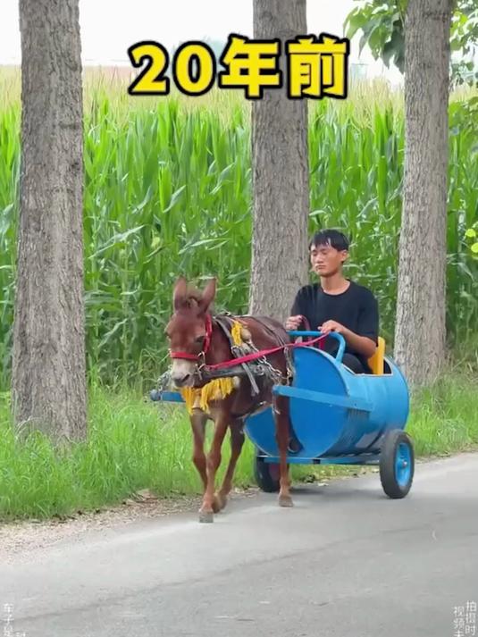 迷你鼻毛修剪器 Type-C 快充,磁吸刀头易拆,揣兜不占地