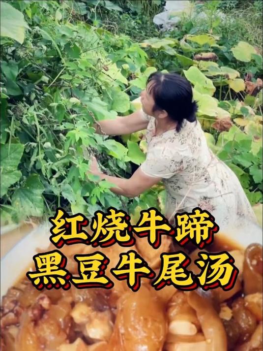 福建人的农村生活,红烧牛蹄,黑豆牛尾汤