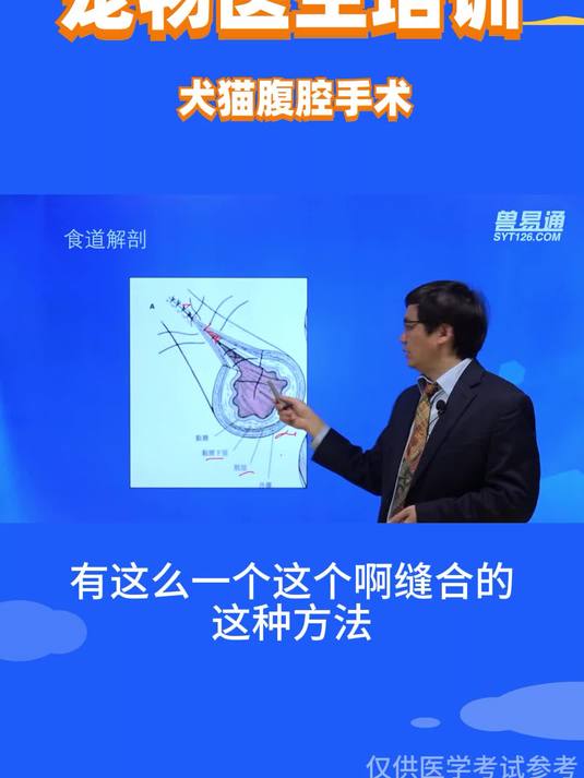 宠物软组织手术学习分享-食道解剖!