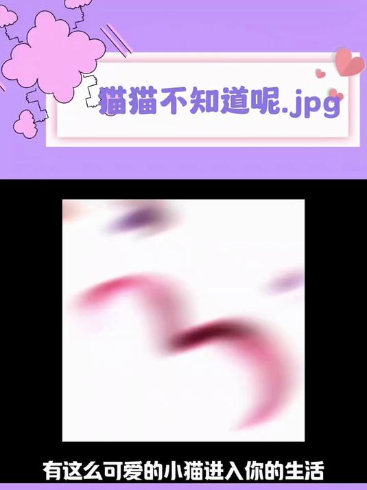 陈挽：猫猫不知道呢