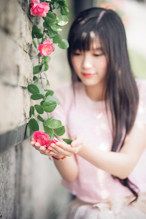 图片[12]-Blooming rose-六色网