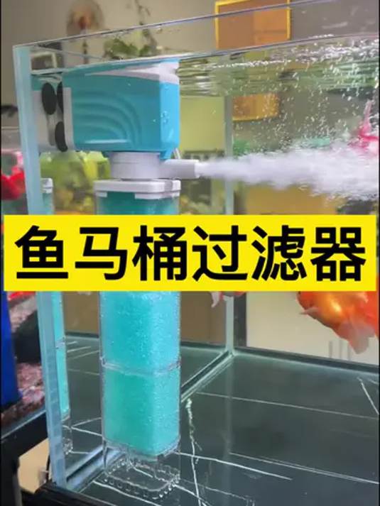 鱼缸内置过滤器咋选?打造空气缸的关键在此!
